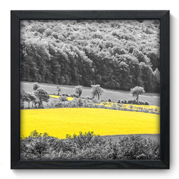 Quadro Decorativo - Campo - 33cm X 33cm - 070qnpbp