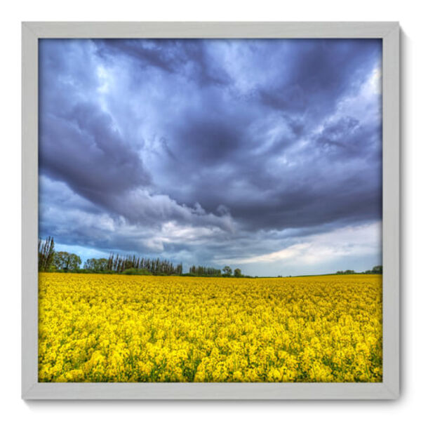 Quadro Decorativo - Campo - 50cm X 50cm - 051qnpcb