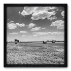 Quadro Decorativo - Campo - 50cm X 50cm - 059qnpcp