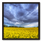 Quadro Decorativo - Campo - 70cm X 70cm - 051qnpdp