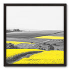 Quadro Decorativo - Campo - 70cm X 70cm - 071qnpdp