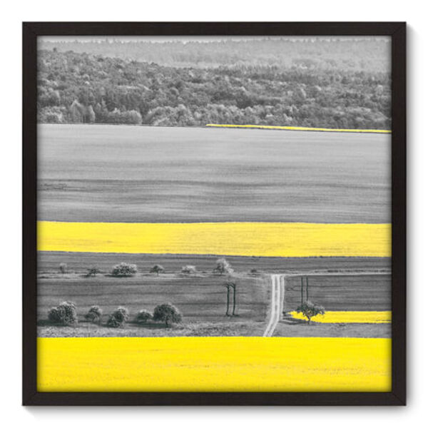 Quadro Decorativo - Campo - 70cm X 70cm - 072qnpdp