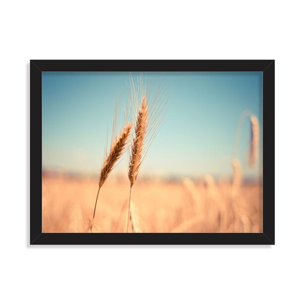 Quadro Decorativo Campo De Trigo Caniço-de-água