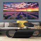 Quadro Decorativo Campo Lavanda