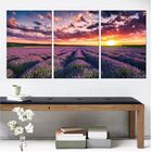 Quadro Decorativo Campo Lavanda