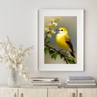 Quadro Decorativo Canarinho - 60x48cm Moldura:madeira Branca