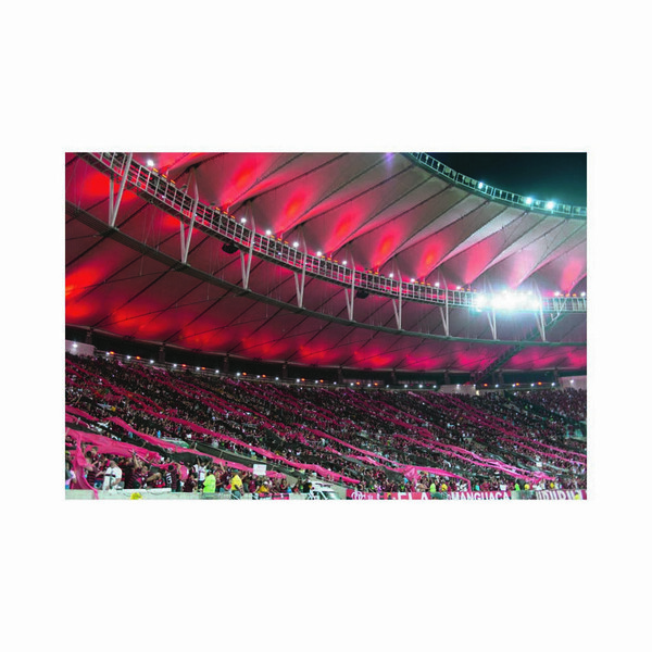 Quadro Decorativo Canvas Flamengo I1801-06 - Branco - 40x60