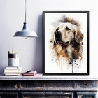 Quadro Decorativo Cão Golden Retriever Aquarela 45x34cm - Com