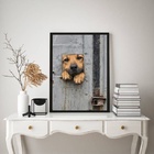 Quadro Decorativo Cãozinho Caramelo 33x24cm - Com Vidro Moldu