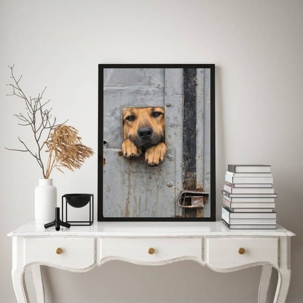 Quadro Decorativo Cãozinho Caramelo 33x24cm - Com Vidro Moldu