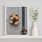 Quadro Decorativo Cãozinho Caramelo 45x34cm - Com Vidro Moldu