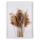 Quadro Decorativo Capim Dos Pampas - Plumas 24x18cm - Com Vid