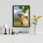 Quadro Decorativo Capivara Colagem 24x18cm - Com Vidro Moldur