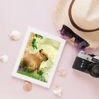 Quadro Decorativo Capivara Com Passarinhos 45x34cm Moldura:ma