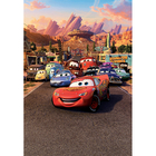 Quadro Decorativo Carros Disney 20x25