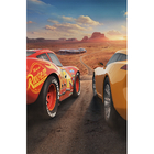 Quadro Decorativo Carros Disney Relâmpago Mcqueen 20x28