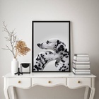 Quadro Decorativo Casal De Cães Dálmatas 24x18cm - Com Vidro