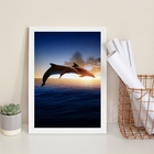 Quadro Decorativo Casal De Golfinhos 45x34cm - Com Vidro Mold