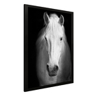 Quadro Decorativo Cavalo 60x90cm Preto