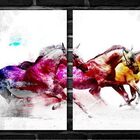 Quadro Decorativo Cavalo Branco Colorido Para Sala 2 Peças