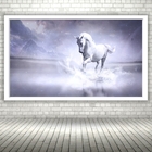Quadro Decorativo Cavalo Branco Lago  - 70x50cm Moldura Preta
