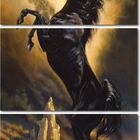 Quadro Decorativo Cavalo Negro Na Noite