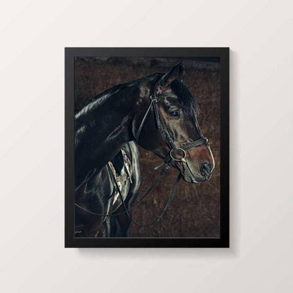 Quadro Decorativo Cavalo Perfil 45x34cm A3 (45 X 34)