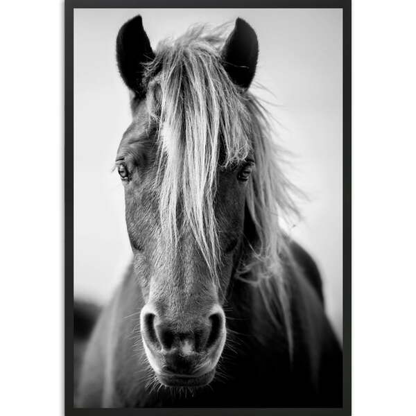 Quadro Decorativo Cavalo Preto E Branco Sem Vidro Preto