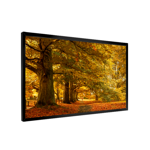 Quadro Decorativo Cenário De Outono