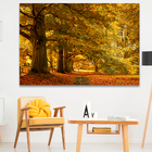 Quadro Decorativo Cenário De Outono