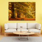 Quadro Decorativo Cenário De Outono