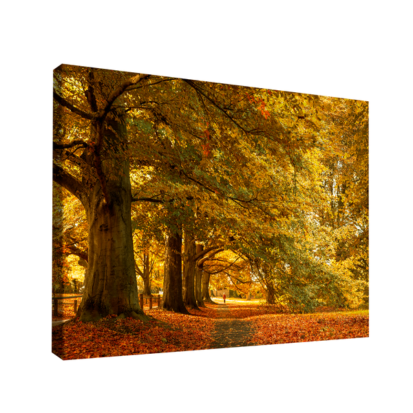 Quadro Decorativo Cenário De Outono Pequeno 60x40