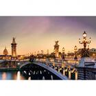 Quadro Decorativo Cidade De Paris Ponte Alexandre Iii 1 Tela