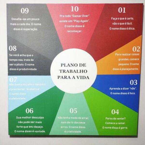 Quadro Decorativo Coaching Plano De Trabalho Para A Vida