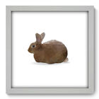 Quadro Decorativo - Coelho - 33cm X 33cm - 147qdsb