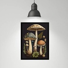 Quadro Decorativo Cogumelos Vintage 33x24cm Moldura:madeira B