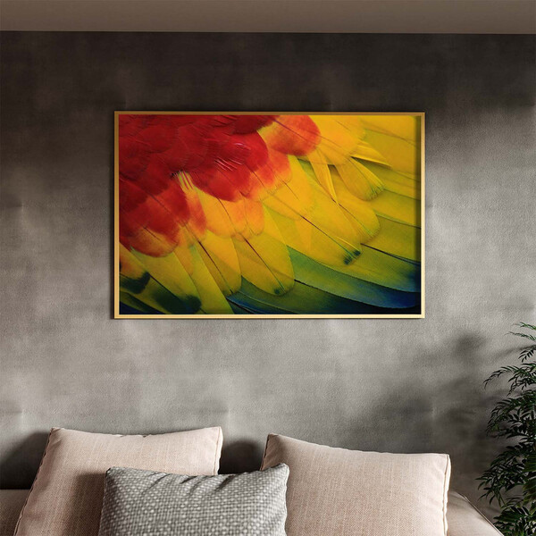Quadro Decorativo Conceito Feathers Com Moldura Dourada - 100