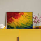 Quadro Decorativo Conceito Feathers Com Moldura Prata - 120x6