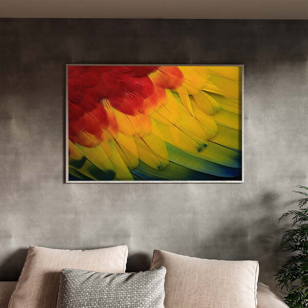 Quadro Decorativo Conceito Feathers Com Moldura Prata - 150x1