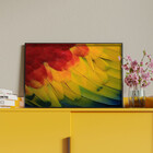 Quadro Decorativo Conceito Feathers Com Moldura Preto - 200x1