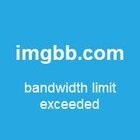 Quadro Decorativo Conceitual Woman Blue Rose Com Moldura Dour