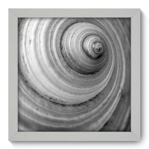 Quadro Decorativo - Concha - 22cm X 22cm - 001qndab
