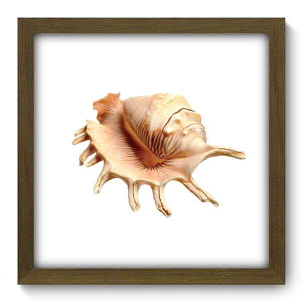 Quadro Decorativo - Concha - 33cm X 33cm - 036qdkm