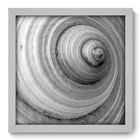 Quadro Decorativo - Concha - 33cm X 33cm - 201qdsb