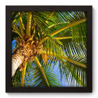 Quadro Decorativo - Coqueiro - 22cm X 22cm - 045qndap