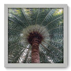 Quadro Decorativo - Coqueiro - 33cm X 33cm - 274qddb