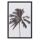 Quadro Decorativo com Vidro e Moldura de Madeira 40x60cm Coqueiro Preto