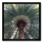 Quadro Decorativo - Coqueiro - 50cm X 50cm - 043qndcp
