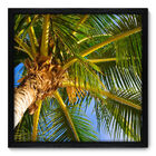 Quadro Decorativo - Coqueiro - 50cm X 50cm - 045qndcp