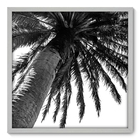 Quadro Decorativo - Coqueiro - 70cm X 70cm - 039qnpdb